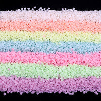 Thumbnail for minuscules étoiles phosphorescentes de toute les couleurs