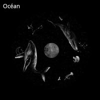 Thumbnail for disque océan pour projecteur réaliste